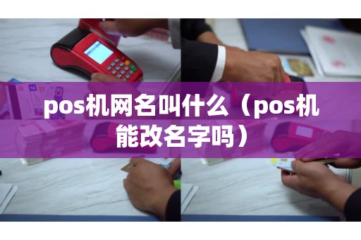 pos机网名叫什么（pos机能改名字吗）