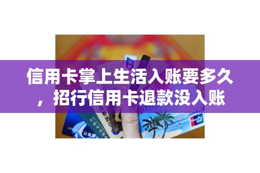 信用卡掌上生活入账要多久，招行信用卡退款没入账