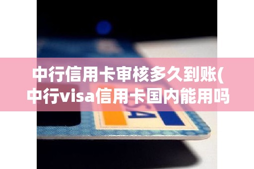 中行信用卡审核多久到账(中行visa信用卡国内能用吗)