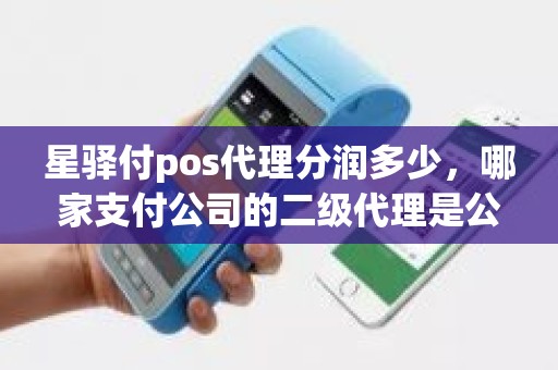 星驿付pos代理分润多少，哪家支付公司的二级代理是公司直接分发分润的