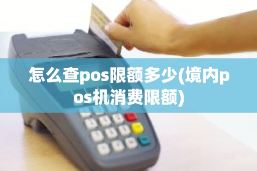 怎么查pos限额多少(境内pos机消费限额)