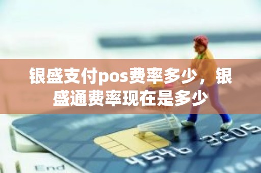 银盛支付pos费率多少，银盛通费率现在是多少