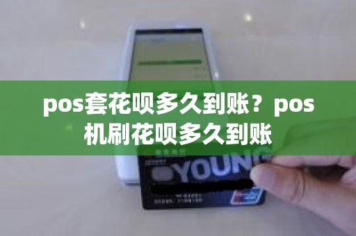 pos***多久到账？pos机刷花呗多久到账