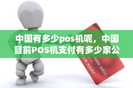 中国有多少pos机呢，中国目前POS机支付有多少家公司