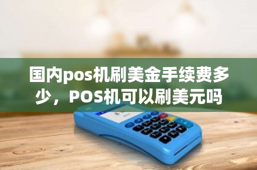 国内pos机刷美金手续费多少，POS机可以刷美元吗