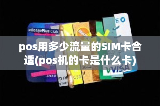 pos用多少流量的SIM卡合适(pos机的卡是什么卡)