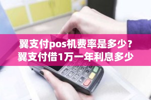 翼支付pos机费率是多少？翼支付借1万一年利息多少