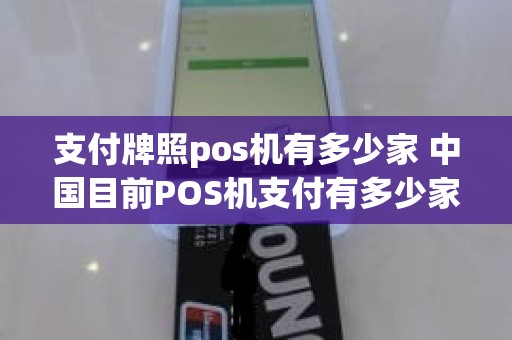 支付牌照pos机有多少家 中国目前POS机支付有多少家公司