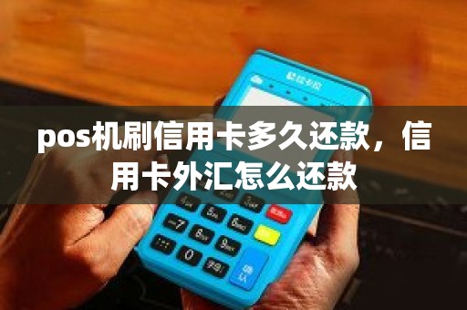 pos机刷信用卡多久还款，信用卡外汇怎么还款