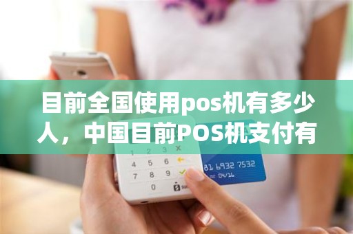 目前全国使用pos机有多少人，中国目前POS机支付有多少家公司
