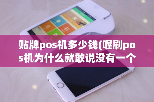 贴牌pos机多少钱(喔刷pos机为什么就敢说没有一个跳码的)