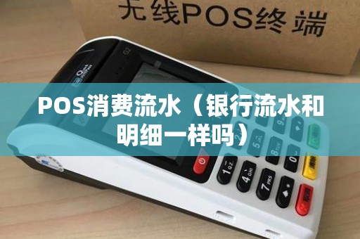 POS消费流水（银行流水和明细一样吗）