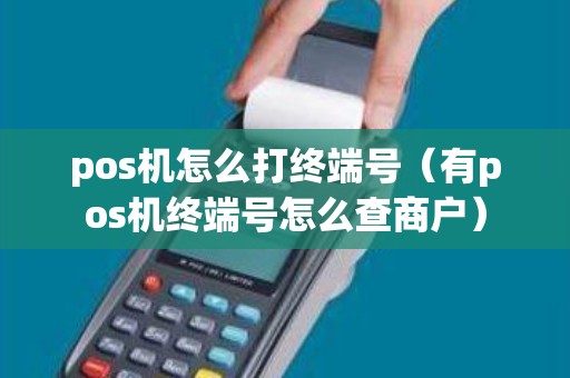 pos机怎么打终端号（有pos机终端号怎么查商户）