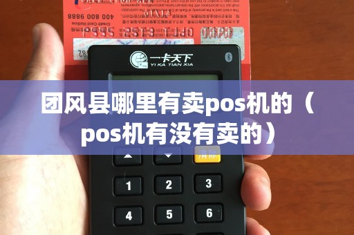 团风县哪里有卖pos机的（pos机有没有卖的）