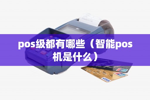 pos级都有哪些（智能pos机是什么）