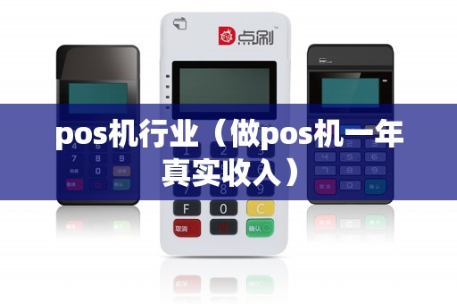pos机行业（做pos机一年真实收入）