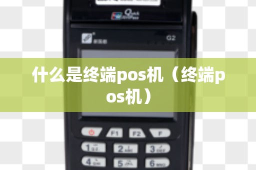 什么是终端pos机（终端pos机）