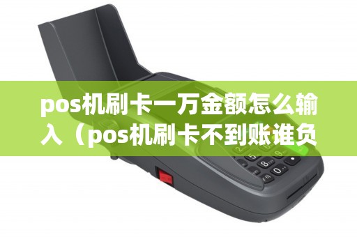 pos机刷卡一万金额怎么输入（pos机刷卡不到账谁负责）