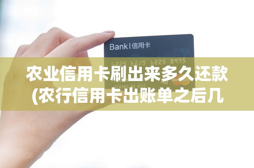 农业信用卡刷出来多久还款(农行信用卡出账单之后几天还款)