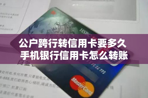 公户跨行转信用卡要多久 手机银行信用卡怎么转账