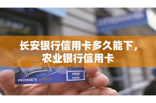 长安银行信用卡多久能下，农业银行信用卡