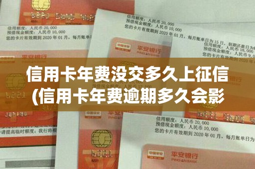 信用卡年费没交多久上征信(信用卡年费逾期多久会影响征信) 信用卡年费没交多久上征信(信用卡年费逾期多久会影响征信)