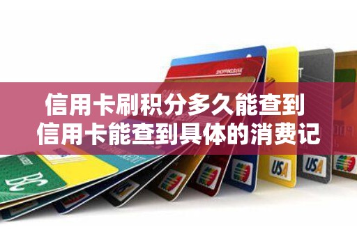 信用卡刷积分多久能查到 信用卡能查到具体的消费记录
