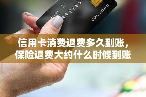 信用卡消费退费多久到账，保险退费大约什么时候到账