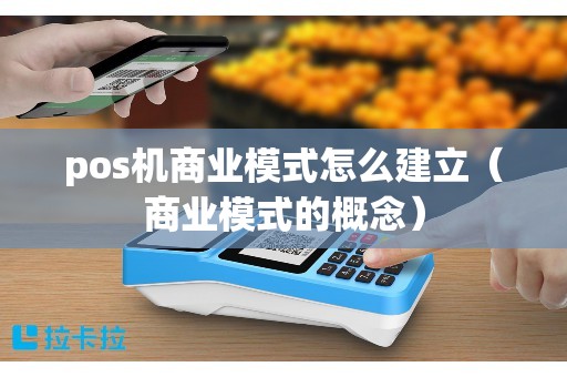 pos机商业模式怎么建立（商业模式的概念）