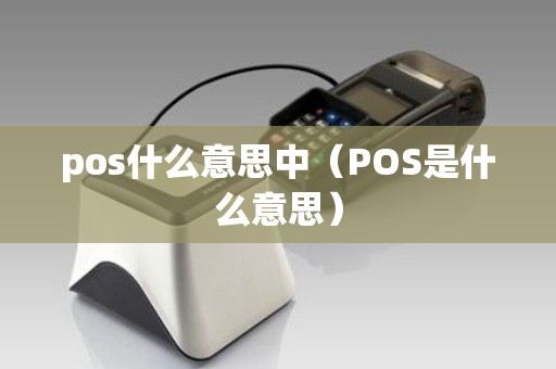 pos什么意思中（POS是什么意思）