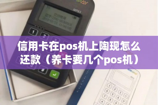 信用卡在pos机上陶现怎么还款（养卡要几个pos机）