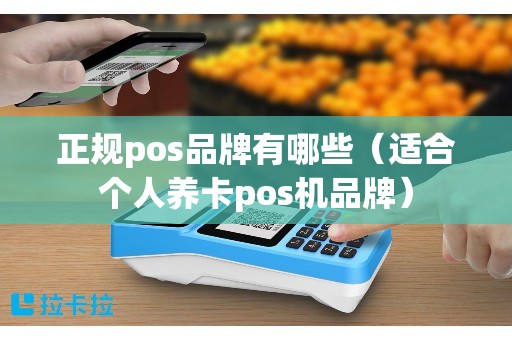 正规pos品牌有哪些（适合个人养卡pos机品牌）