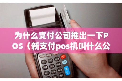 为什么支付公司推出一下POS（新支付pos机叫什么公司）