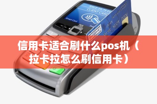 信用卡适合刷什么pos机（拉卡拉怎么刷信用卡）