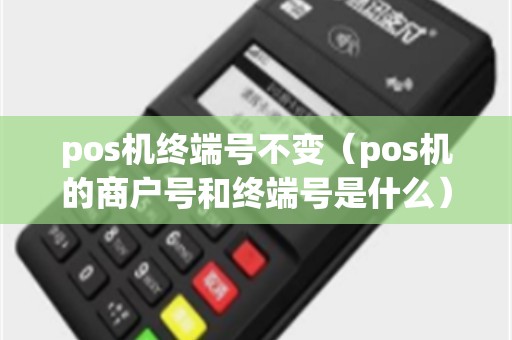 pos机终端号不变（pos机的商户号和终端号是什么）