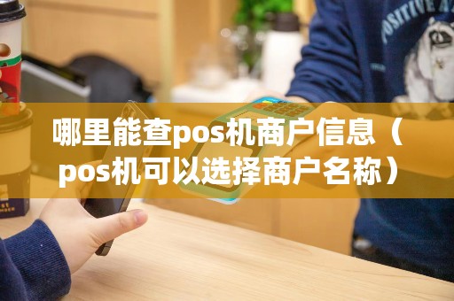 哪里能查pos机商户信息（pos机可以选择商户名称）