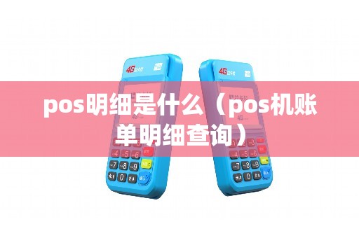 pos明细是什么（pos机账单明细查询）