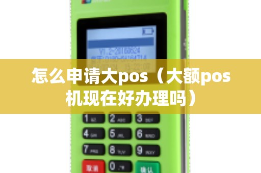 怎么申请大pos（大额pos机现在好办理吗）