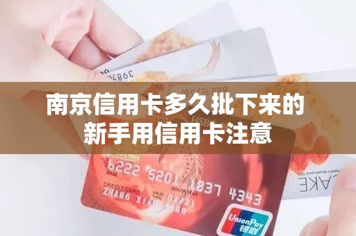 南京信用卡多久批下来的 新手用信用卡注意