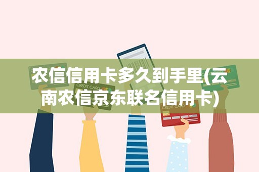 农信信用卡多久到手里(云南农信京东联名信用卡)