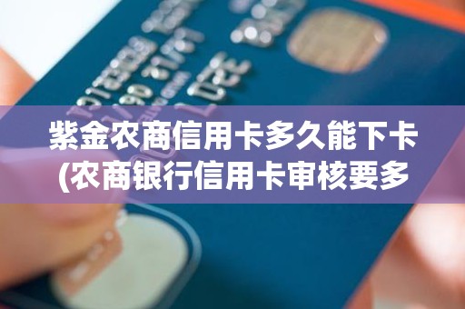 紫金农商信用卡多久能下卡(农商银行信用卡审核要多久)