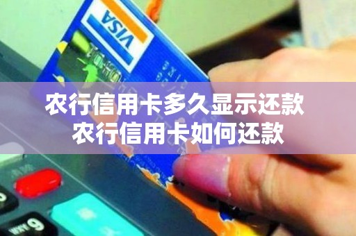 农行信用卡多久显示还款 农行信用卡如何还款