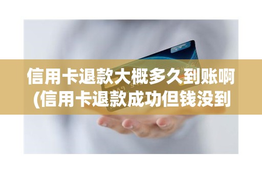 信用卡退款大概多久到账啊(信用卡退款成功但钱没到账)