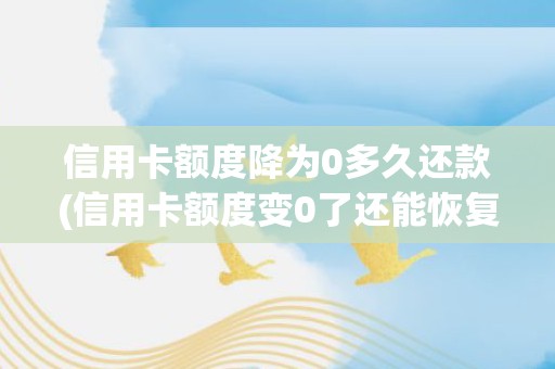信用卡额度降为0多久还款(信用卡额度变0了还能恢复吗)
