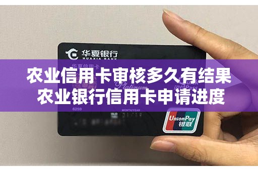 农业信用卡审核多久有结果 农业银行信用卡申请进度查询