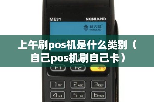 上午刷pos机是什么类别（自己pos机刷自己卡）