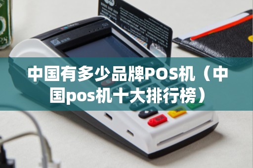 中国有多少品牌POS机（中国pos机十大排行榜）