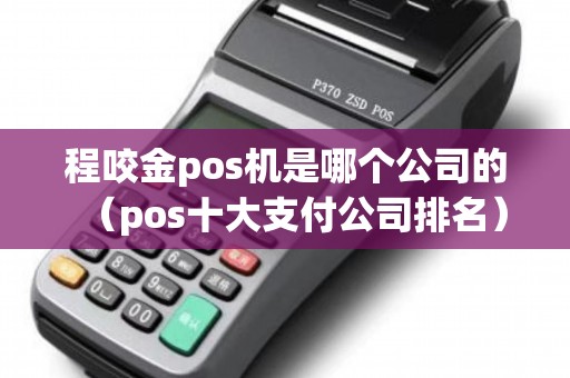 程咬金pos机是哪个公司的（pos十大支付公司排名）
