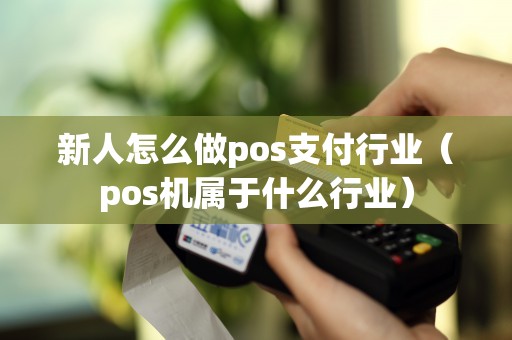 新人怎么做pos支付行业（pos机属于什么行业）