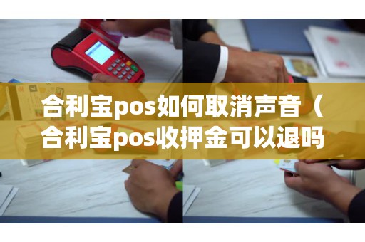 合利宝pos如何取消声音（合利宝pos收押金可以退吗）